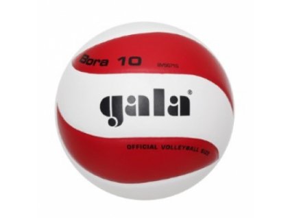 Volejbalový míč Gala Bora BV5671